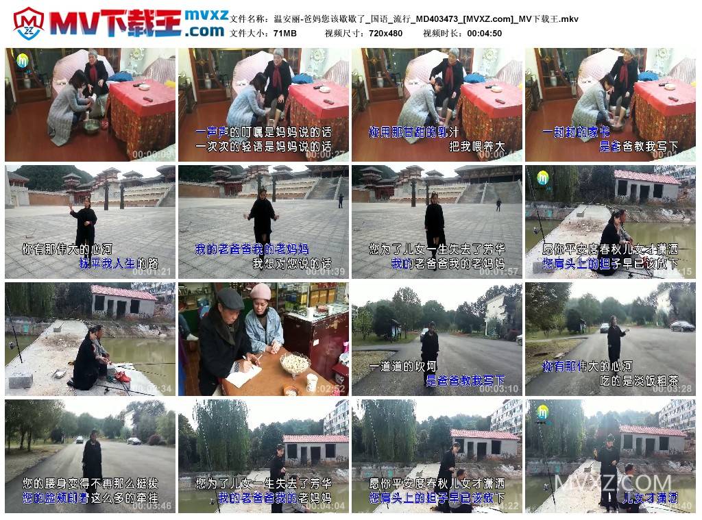 温安丽-爸妈您该歇歇了_国语_流行_MD403473